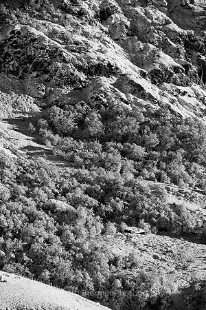 Hillside Patagonia