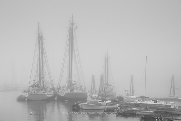 Camden Fog