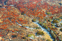 Waters of Red