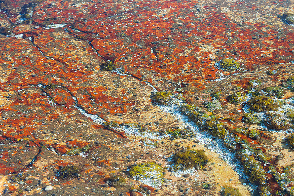 Waters of Red