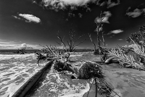 Fallen Into the Sea, BW