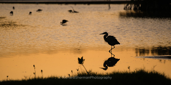 Striding, Panorama