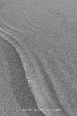 Shallows
