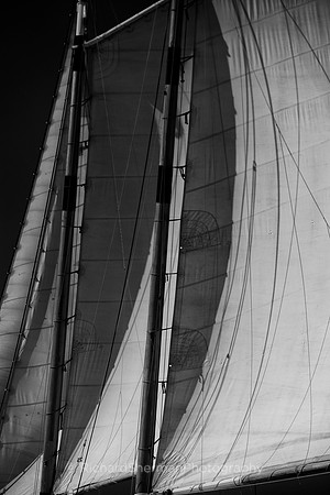 Masts and Sails BW