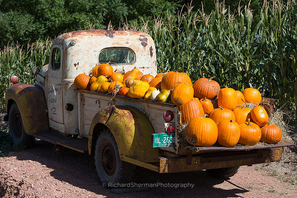 Autumn Truck
