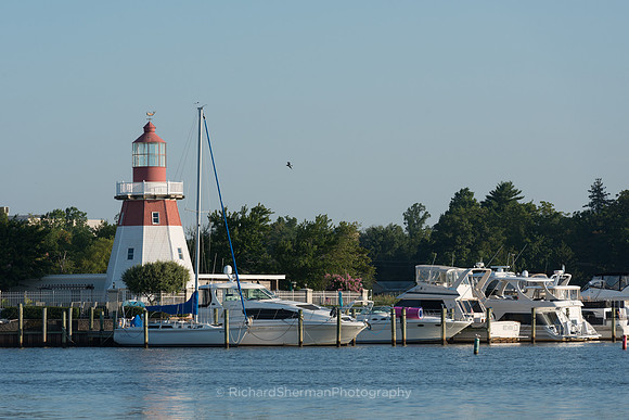 Jersey Light 2