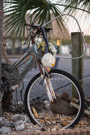 Old Beach Bike