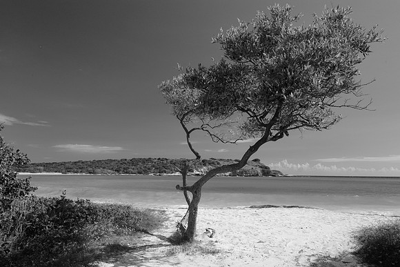 Cabo Rojo BW