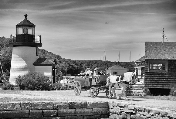 Carriage Ride