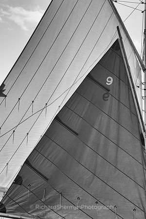 Sail #9 BW