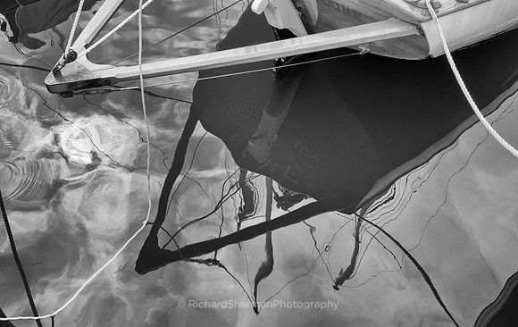 Bow Reflections BW