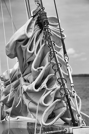 Flaked Sail BW