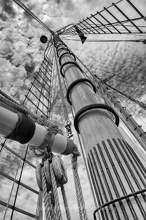 Wood Mast BW