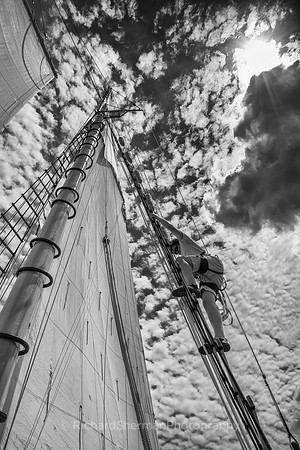 Crew's Duty BW