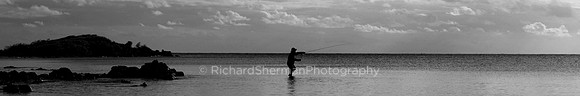 Fly Fisherman 6:1 Panorama