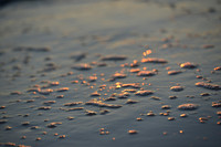 Seaside Bubbles 1