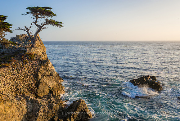 Cypress Point