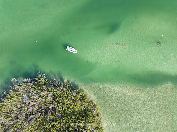 A Green V