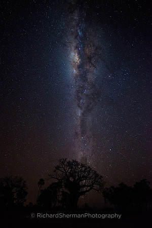 Milky Way Over Africa