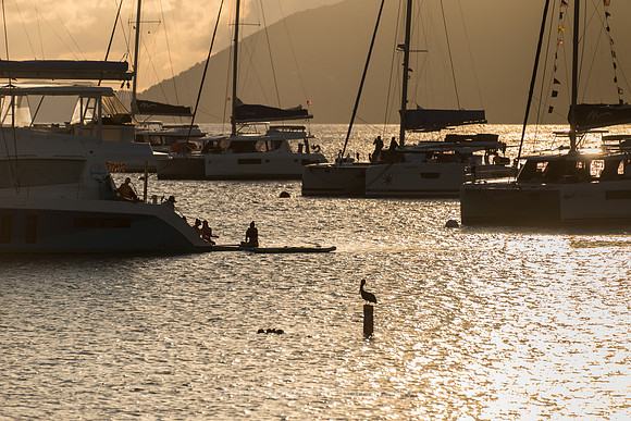 BVI Harbor
