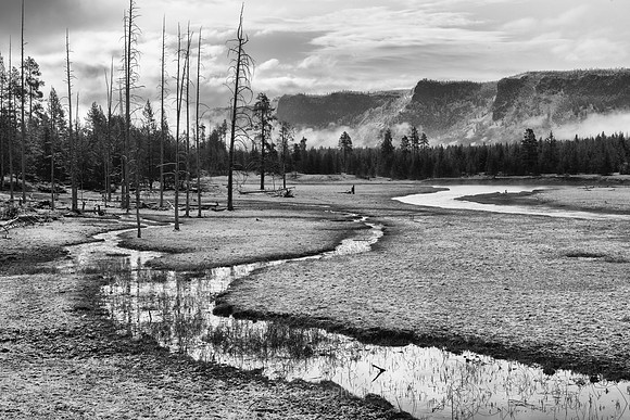 Snaking Water, BW