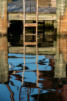Shimmering Ladder