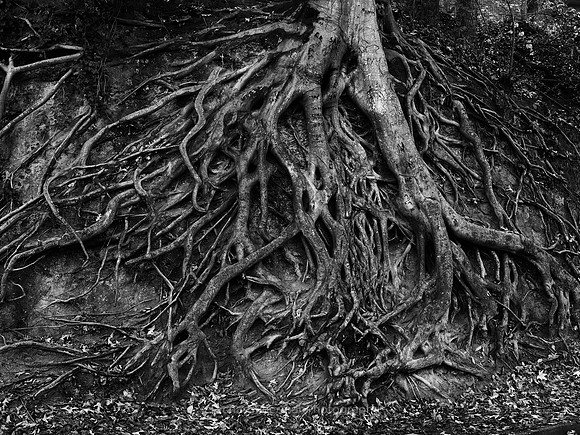 Grasping
