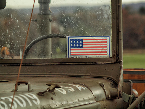 Windshield Flag