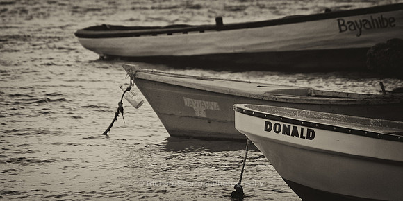 Dominican Boats BW Panorama