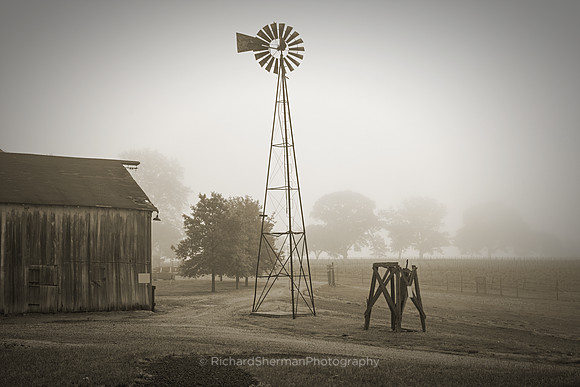 Windless Day BW