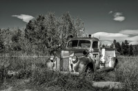 Mountain Truck BW