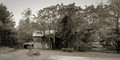 Maryland Barn, BW