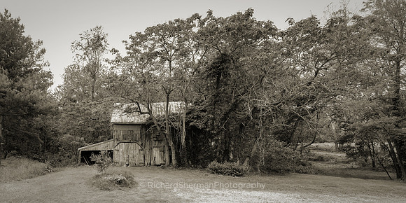 Maryland Barn, BW