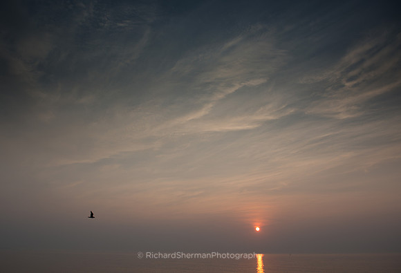 Morning Flight