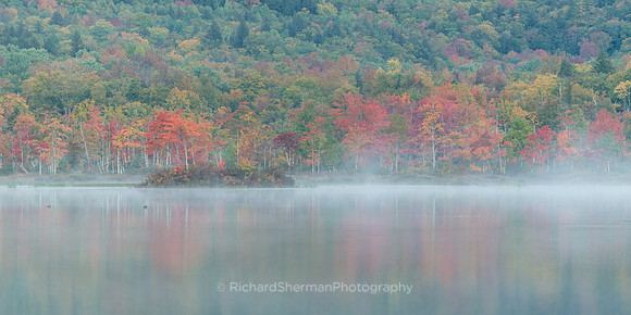 Autumn in Maine, Panorama