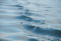 Water Dance