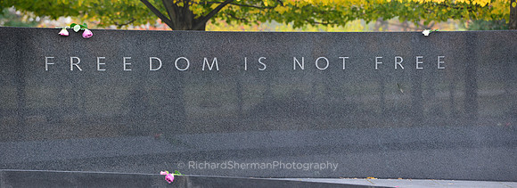 Korean War Memorial_Panorama