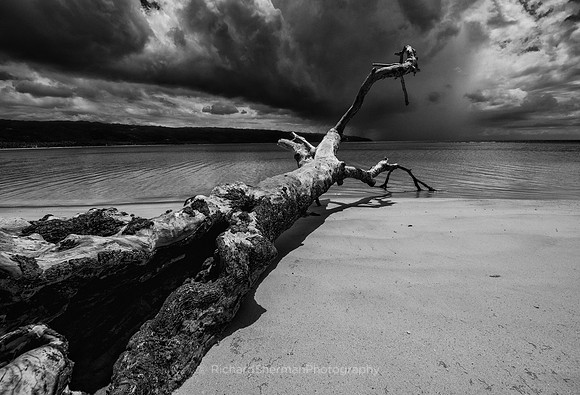 Laying Before The Sea