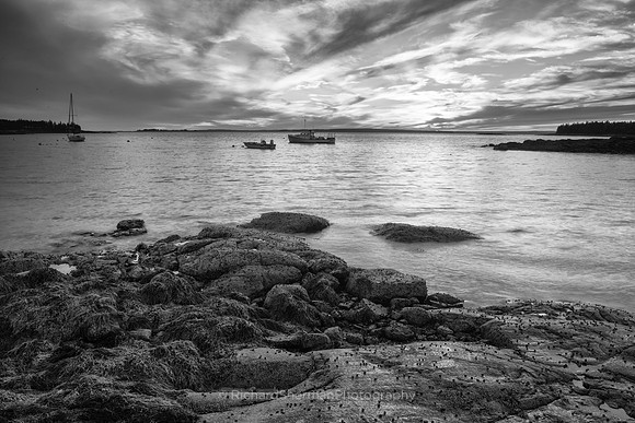 Secured for The Night BW