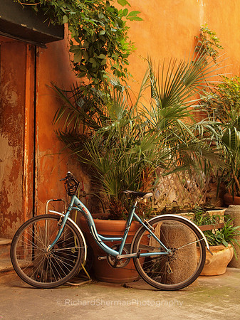 Quiet Courtyard