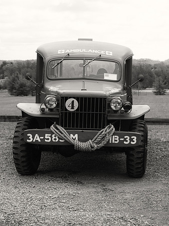 8 BW
