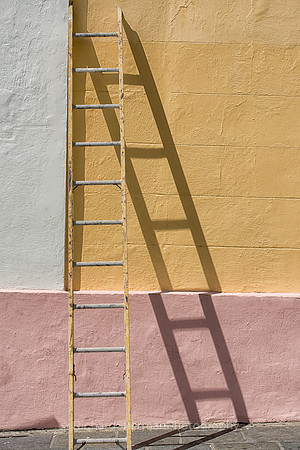 Ladder 1