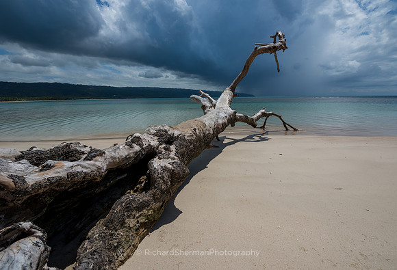 Laying Before the Sea