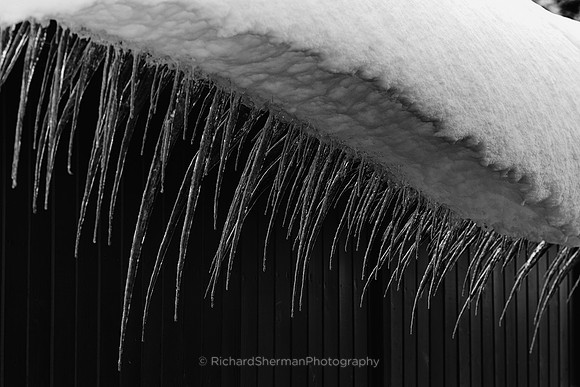 Long Icicles BW