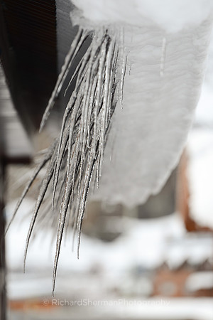 Curled Icicles