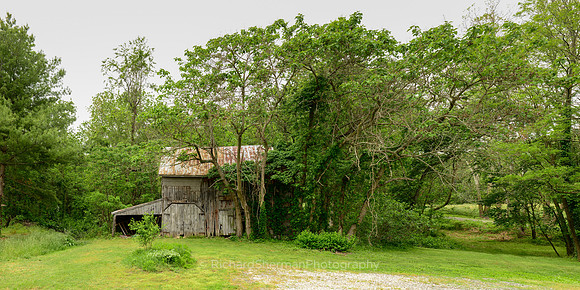 Nature Reclaimed, Pano