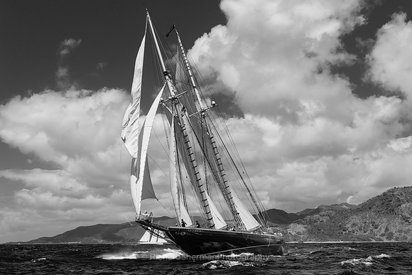 Roaring, BW