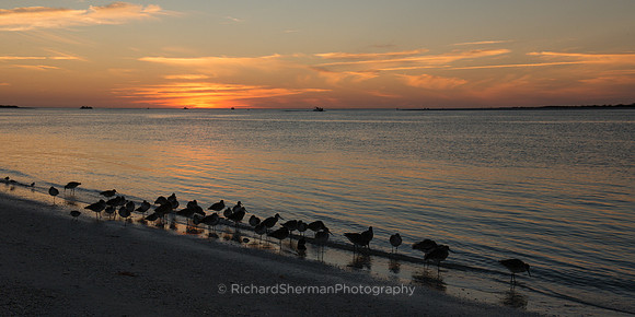 Huddled for Night