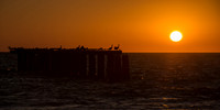 Together Again, Panorama