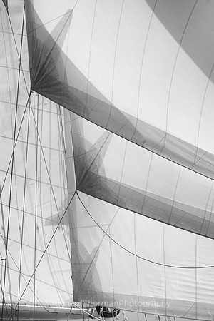 Antigua Sails_4 BW
